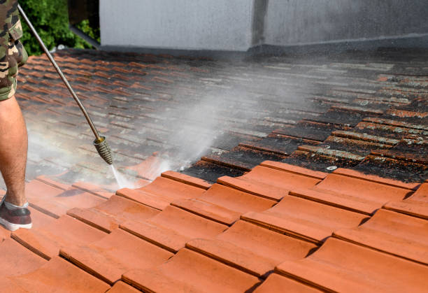 Best Affordable Pressure Washing  in Grosse Pointe Park, MI