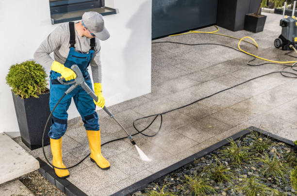 Best Roof Pressure Washing  in Grosse Pointe Park, MI