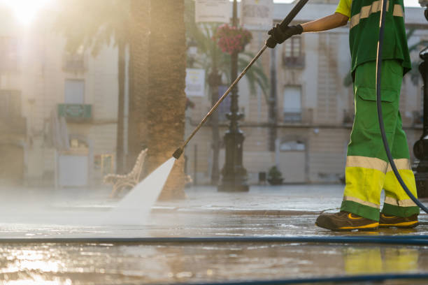 Best Roof Pressure Washing  in Grosse Pointe Park, MI