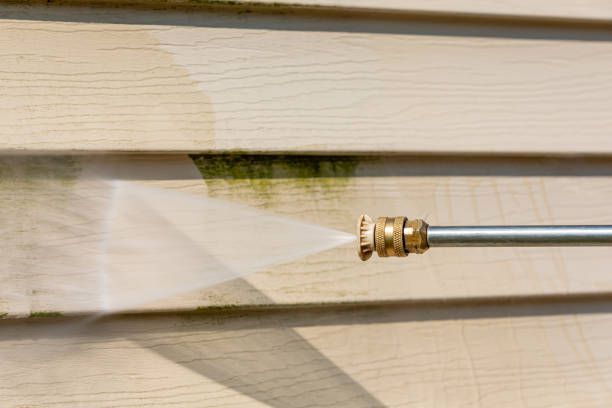 Best Pressure Washing Company Near Me  in Grosse Pointe Park, MI