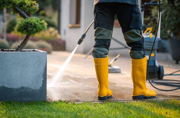 Best Residential Pressure Washing Services  in Grosse Pointe Park, MI